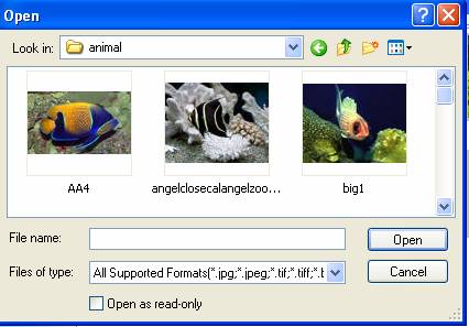 Choose photo image pictures for flash slide show - flash slide shows - myspace picture animator