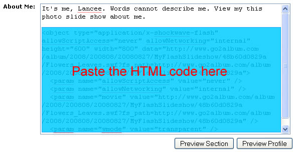 Insert flash code into MySpace profile editor