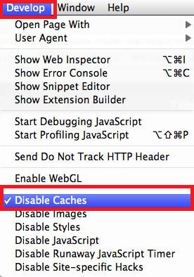 Disable Safari Caches