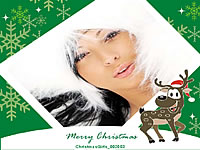 Christmas13 Premium flash template