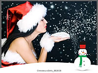 Christmas14 Premium flash template