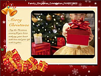 Christmas5 Premium flash template